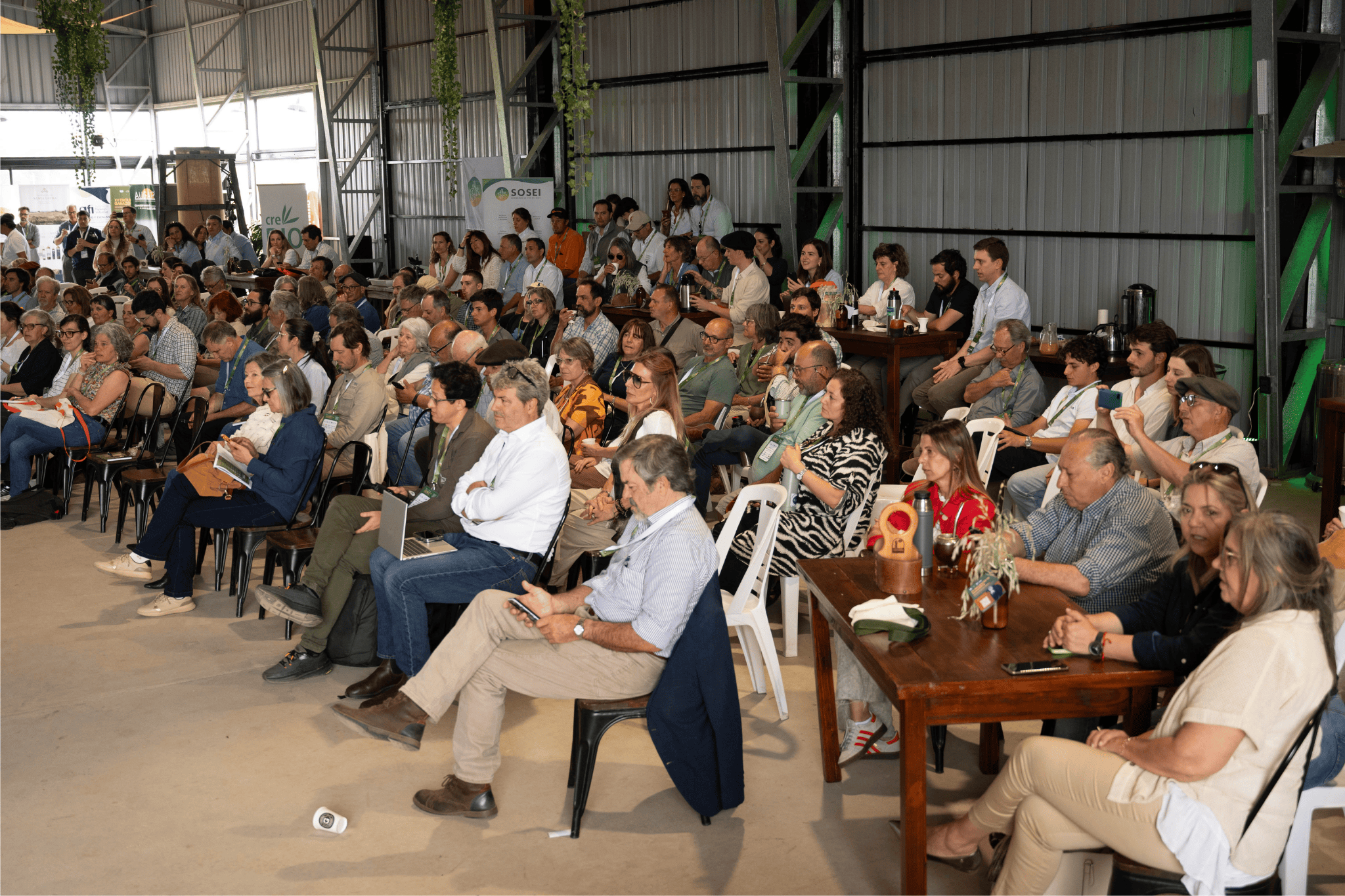 Birdlife - Infraestructura verde segura para aves – Ruta migratoria