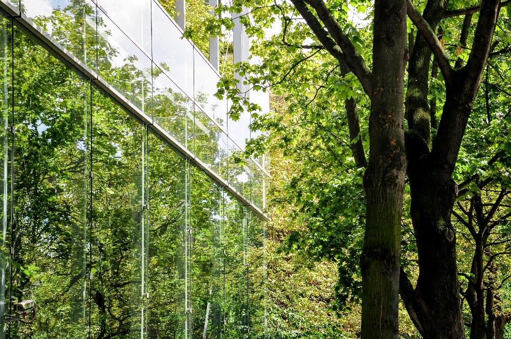 Birdlife - Infraestructura verde segura para aves – Ruta migratoria