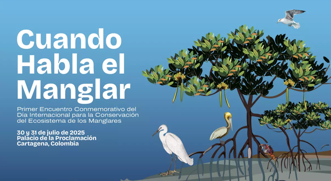 Birdlife - Infraestructura verde segura para aves – Ruta migratoria