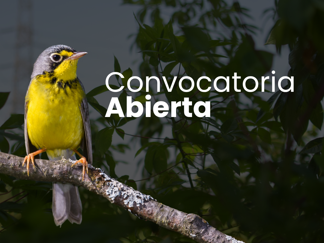 Birdlife - Infraestructura verde segura para aves – Ruta migratoria