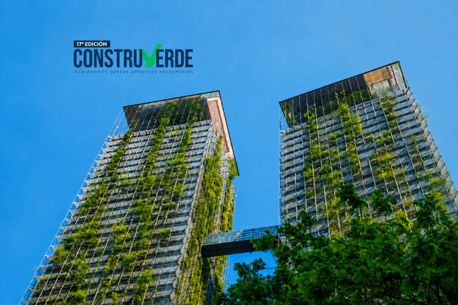 Birdlife - Infraestructura verde segura para aves – Ruta migratoria