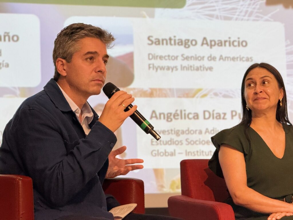 Birdlife - Infraestructura verde segura para aves – Ruta migratoria