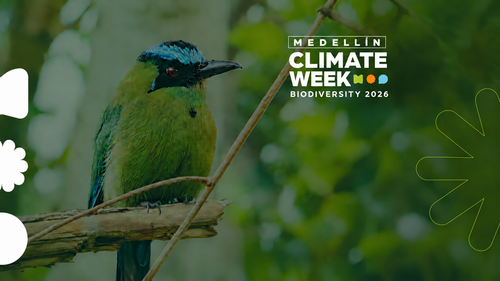 Birdlife - Infraestructura verde segura para aves – Ruta migratoria